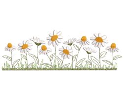 Daisy Wildflowers Embroidery Design