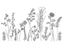 Wildflowers Embroidery Design