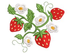 Strawberries Embroidery Design