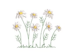 Daisy Wildflowers Embroidery Design