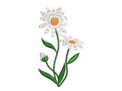 Daisies Wildflowers Embroidery Design