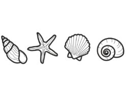 Sea Shells embroidery design