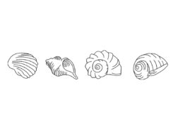 Seashells embroidery design